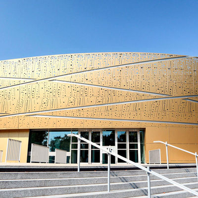 Pannelli esterni in lega di alluminio personalizzati con facciata perforata, pannelli in alluminio PVDF per facciate