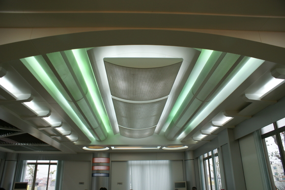 Pannello ondulato di alluminio personalizzabile per Convention Center