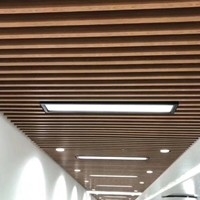 Spessore di alluminio del soffitto 0.5mm del deflettore del centro commerciale U facile smontare